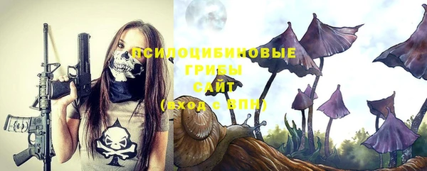 героин Инсар