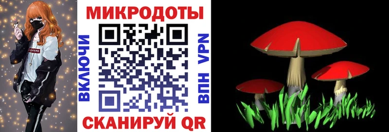 Псилоцибиновые грибы Cubensis  Купить закладки  Алатырь 